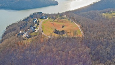 Premier Building Lots on Dale Hollow Lake in Albany, Kentucky - photo 15