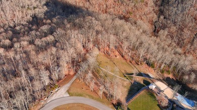 Premier Building Lots on Dale Hollow Lake in Albany, Kentucky - photo 18