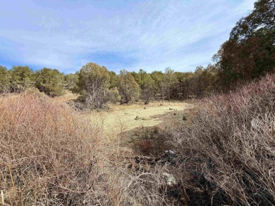 Lake Acreage For Sale in Arroyo Seco, New Mexico