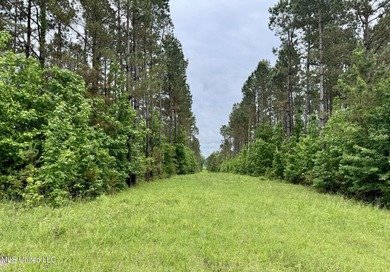 (private lake, pond, creek) Acreage For Sale in Bailey Mississippi