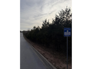 Table Rock Lake Commercial For Sale in Branson Missouri