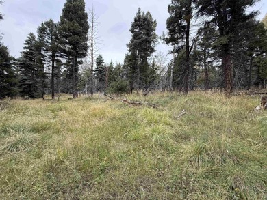 Monte Verde Lake Lot For Sale in Angel Fire New Mexico