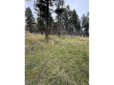 Additional listing photo 1