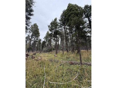 Additional listing photo 4