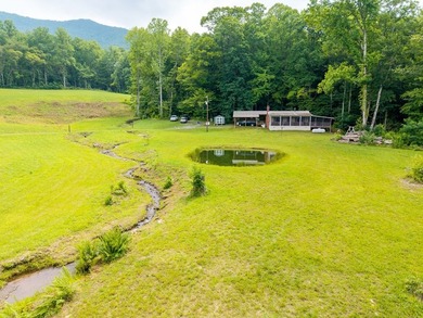 Perfect Mountain Retreat - Private Cabin on 22+ Acres with - photo 11