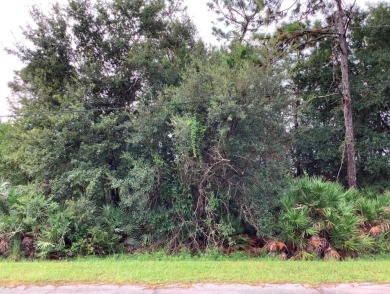 Lake Lot For Sale in Orlando, Florida