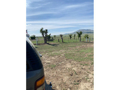 Situated east of Raton and surrounded by a private ranch, this - photo 4