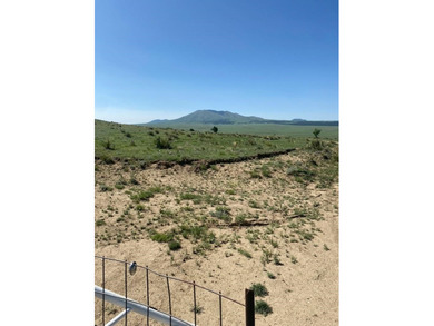 Situated east of Raton and surrounded by a private ranch, this - photo 5