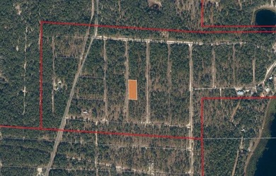 Big Pond Lot For Sale in Hawthorne Florida