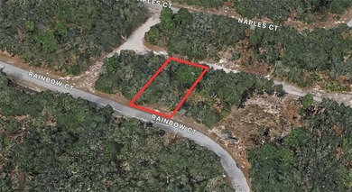 Lake Marion - Polk County Lot For Sale in Poinciana Florida