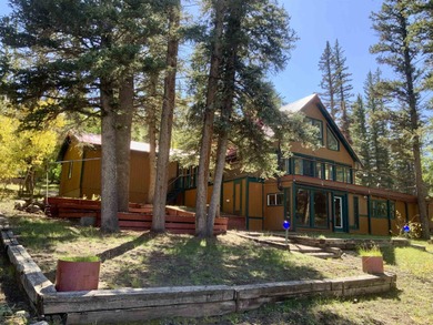 Expansive Custom built multi-level lakefront residence located - photo 7