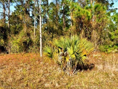 Northport Waterway Lakes and Canals Lot For Sale in North Port Florida