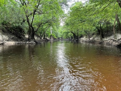 Lake Commercial For Sale in Other, Georgia