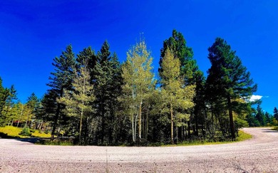 Discover the perfect setting for your future mountain home on - photo 1