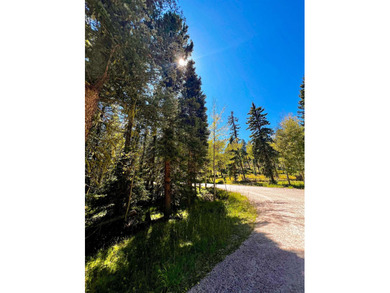 Discover the perfect setting for your future mountain home on - photo 2