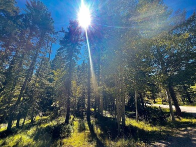 Discover the perfect setting for your future mountain home on - photo 3