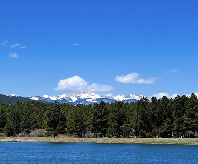 Discover the perfect setting for your future mountain home on - photo 7