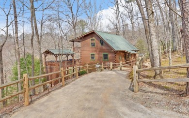 Cherry Log Lake Home For Sale in Cherry Log Georgia
