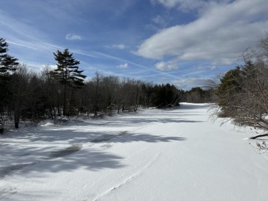 Lake Acreage For Sale in Parsonsfield, Maine