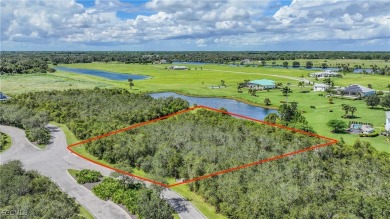 Lake Lot For Sale in Alva, Florida