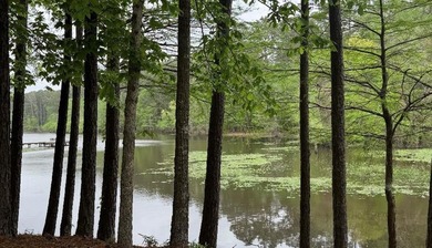 Escape to the natural beauty of Toledo Bend with this unique - photo 1