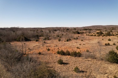 10 Acres with Pond | Prime Hunting Tract | 15 Minutes East of - photo 22