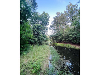 Escape to the natural beauty of Toledo Bend with this unique - photo 3