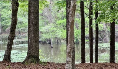 Escape to the natural beauty of Toledo Bend with this unique - photo 4