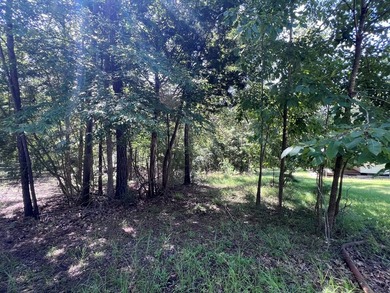 Escape to the natural beauty of Toledo Bend with this unique - photo 5
