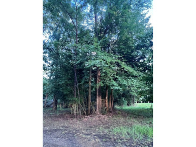 Escape to the natural beauty of Toledo Bend with this unique - photo 7