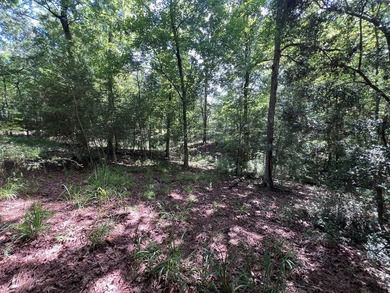 Escape to the natural beauty of Toledo Bend with this unique - photo 8