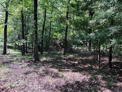 Escape to the natural beauty of Toledo Bend with this unique - photo 9