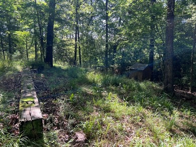 Escape to the natural beauty of Toledo Bend with this unique - photo 10