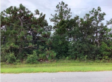 Lake Lot For Sale in Orlando, Florida