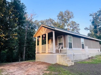 Located in the Fairmount Community, this charming tiny home - photo 1