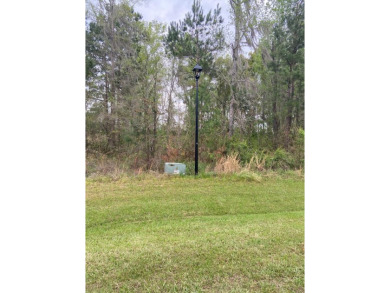 Lake Lot For Sale in Bainbridge, Georgia