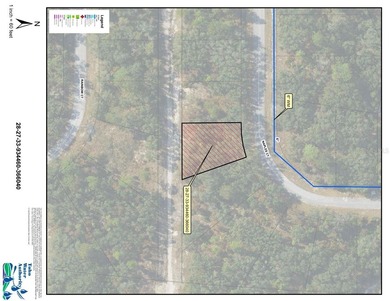 Lake Marion - Polk County Lot For Sale in Kissimmee Florida