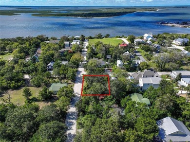 (private lake, pond, creek) Lot For Sale in Fernandina Beach Florida