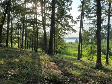 Here's your chance to own 3 adjoining waterfront lots in a Lake - photo 3