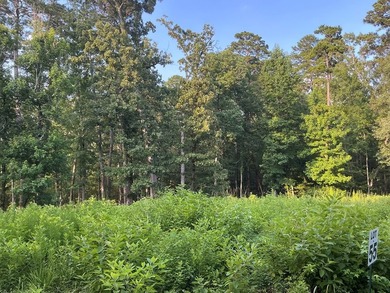 Here's your chance to own 3 adjoining waterfront lots in a Lake - photo 9