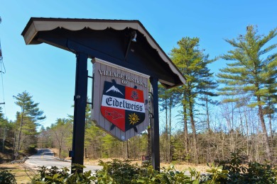 Pea Porridge Pond Lot For Sale in Madison New Hampshire