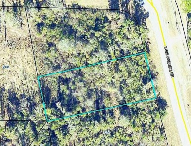 Lake Lot For Sale in Donalsonville, Georgia
