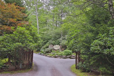 Looking for a lot in town with frontage on the headwaters of the - photo 12