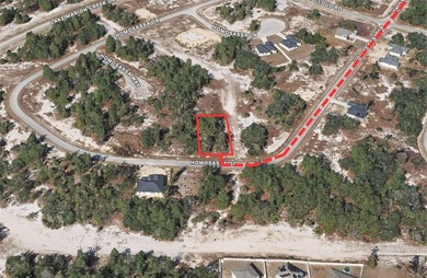 Lake Marion - Polk County Lot For Sale in Kissimmee Florida