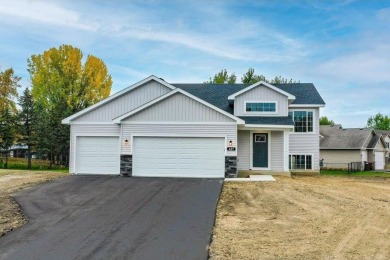 Lake Home For Sale in Howard Lake, Minnesota