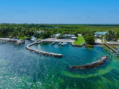 Morton Manor is a timeless estate nestled along the Gulf's bay - photo 2