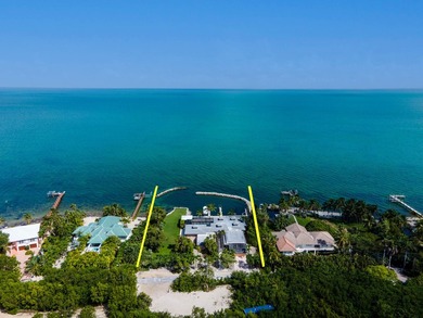 Morton Manor is a timeless estate nestled along the Gulf's bay - photo 4
