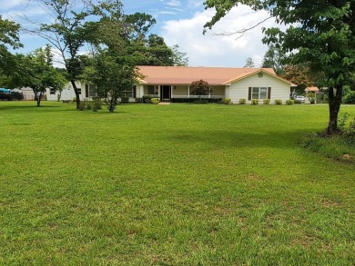 Lake Home For Sale in Donalsonville, Georgia