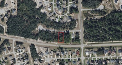 Lake Marion - Polk County Lot For Sale in Kissimmee Florida