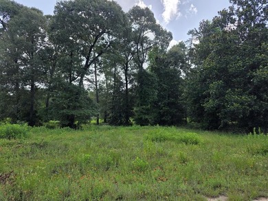 1.533 WATERFRONT AC in Cypress Hills, a restricted subdivision - photo 1